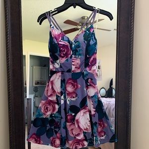 fit and flare velvet dress NWT